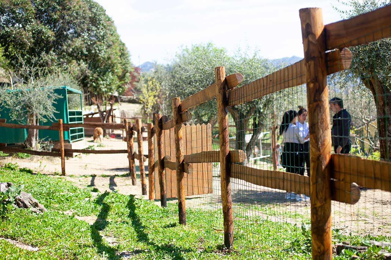 Staccionata in legno di castagno