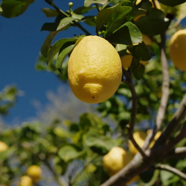 Laboratorio - Agririfugio Molini