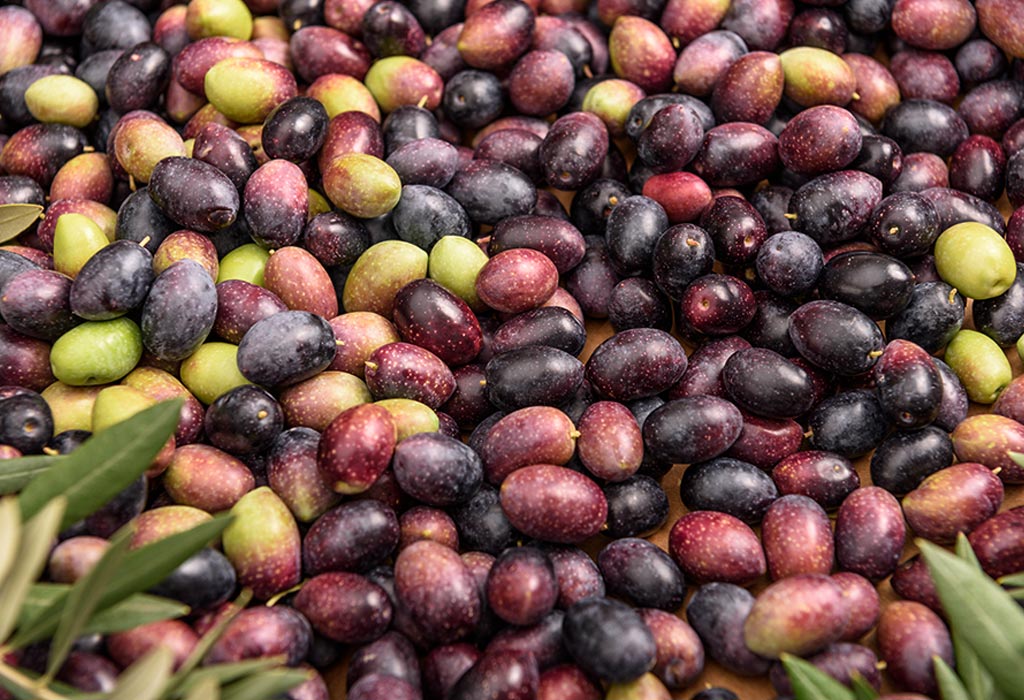 Olive taggiasche